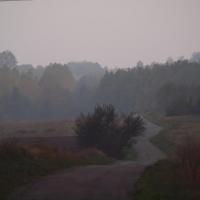 Mgła w drodze do Żarek, Tadeusz Walkowicz