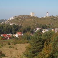 Olsztyn i zamek, Tadeusz Walkowicz