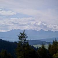 , Krzysztof