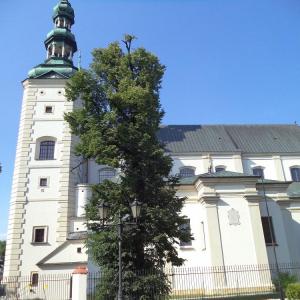 Katedra w Łowiczu
