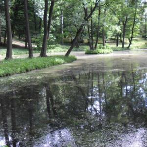 Park Kazimierza Wielkiego w Bydgoszczy
