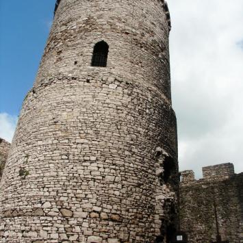 , mokunka