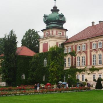 , mokunka