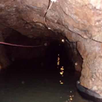 , mokunka