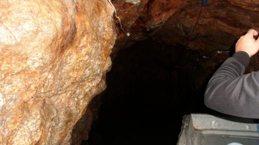 , mokunka