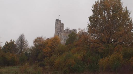 Zamek Mirów, Tadeusz Walkowicz