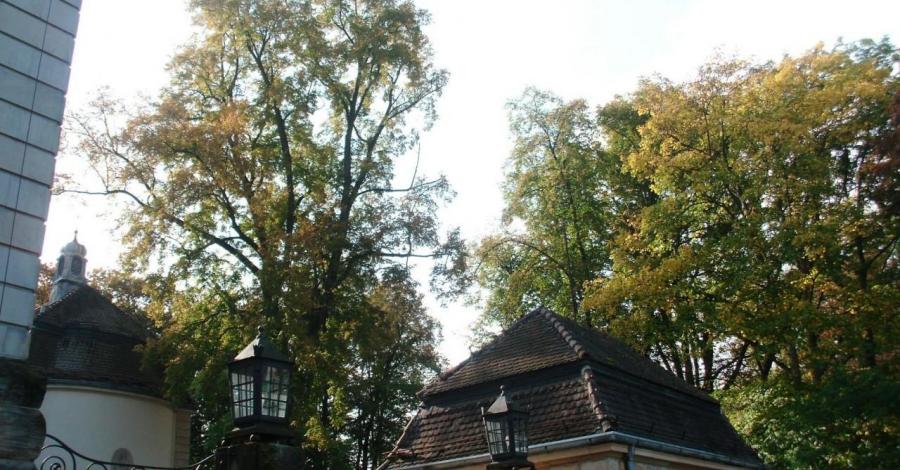 Brynek , Zespół – Pałacowo Parkowy w barwach jesieni - zdjęcie