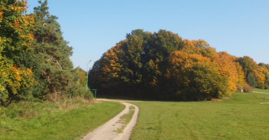 Jesień na Jurze - trasa 1015 - zdjęcie