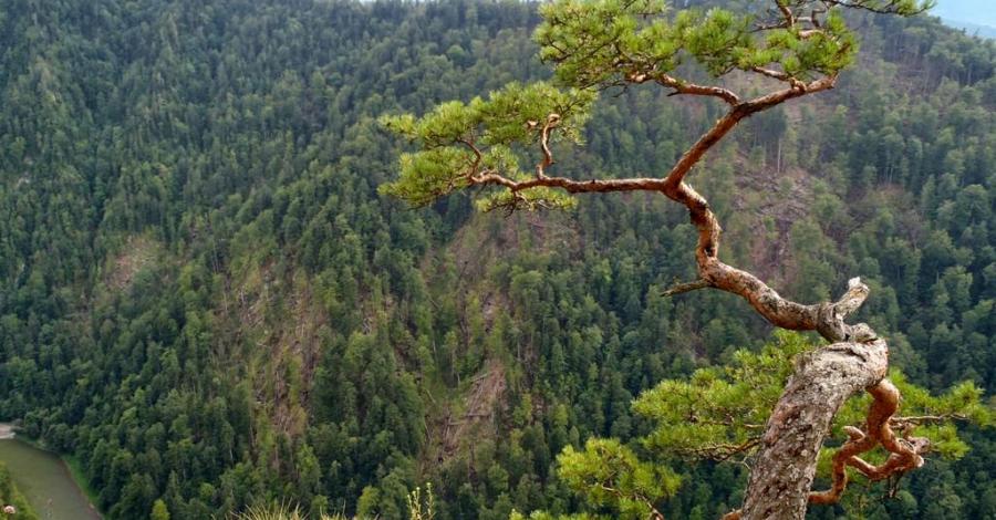 Pieniny - zdjęcie