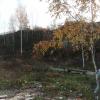 , mokunka