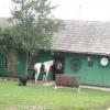 , mokunka