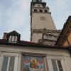 , Danuta