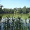 Park Nieborowie, Danusia