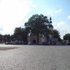 Stary RYnek, Danusia