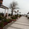 , mokunka