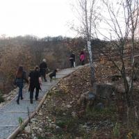 , mokunka