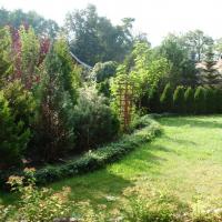 , mokunka