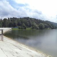 zapora w Myczkowcach, Danusia