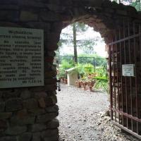 Ogród Biblijny w Myczkowcach, Danusia