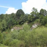 w kierunku kamieniołomu Koziniec, Danusia