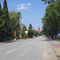 W Lipcach Reymontowskich, Danusia