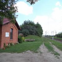 Domek Reymonta, Danusia