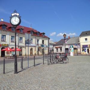 Łowicz