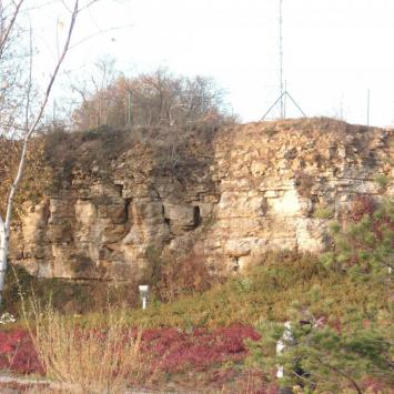 , mokunka