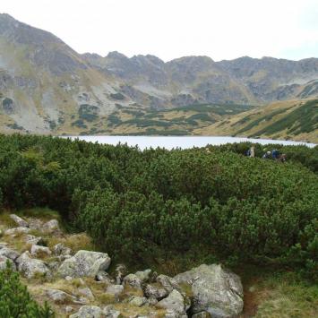 Tatry 2014 - zdjęcie