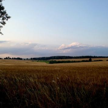 , Krzysztof