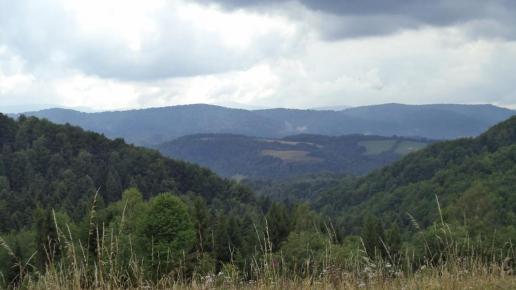 Bieszczady, Danusia