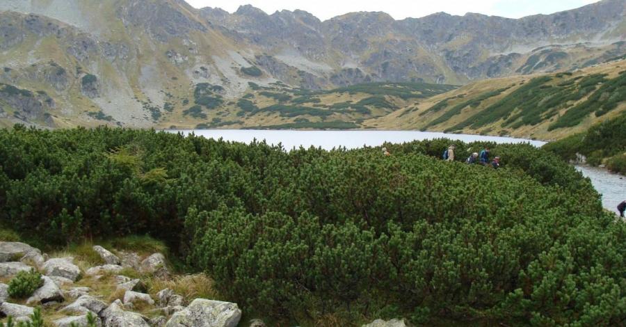 Tatry 2014 - zdjęcie