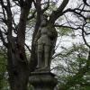 też figura, violus