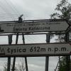, violus