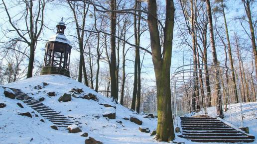 Duży park Tarnowskie Góry