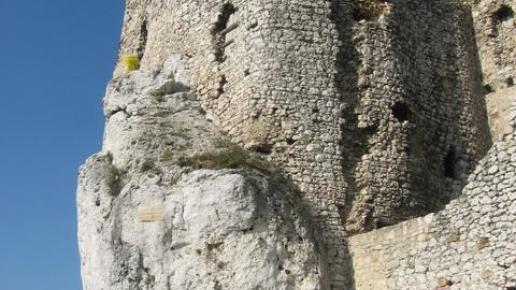 , Danuta
