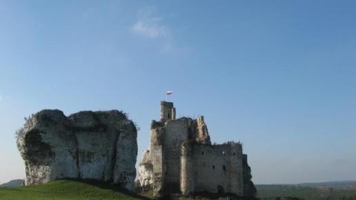 ruiny zamku w Mirowie, Danuta