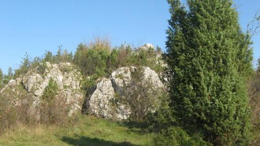 , Danuta