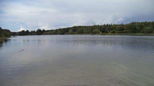 , Danusia