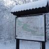 , violus