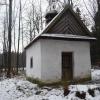 Kapliczka Żeromskiego, violus