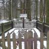 Mogiły, violus