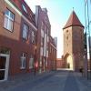 Baszta Bluszczowa, Danusia