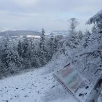 widok z platformy widokowej, violus