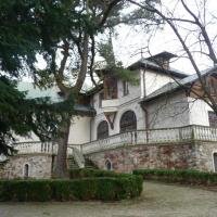 pałacyk , violus