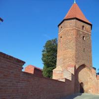 Baszta Bluszczowa, Danusia