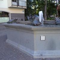 fontanna z żabkami, Danusia