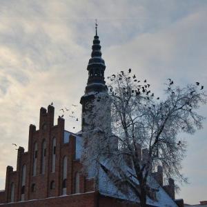Morąg