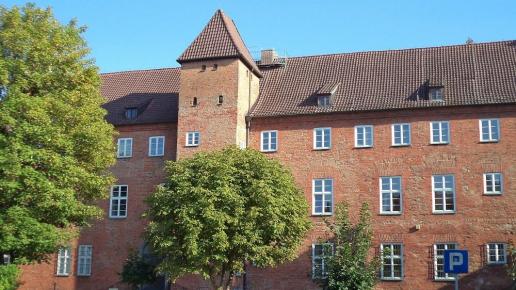 zamek, Danusia