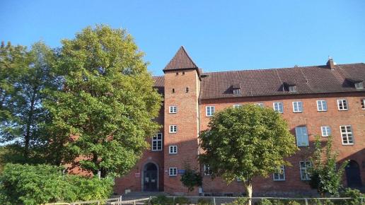 zamek, Danusia